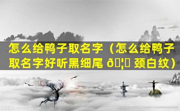 怎么给鸭子取名字（怎么给鸭子取名字好听黑细尾 🦍 颈白纹）